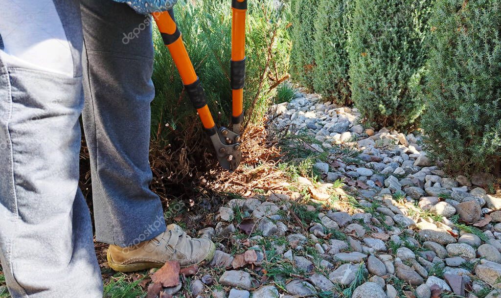 Vereinsmitglieder pflegen einen Gartenweg